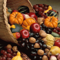 gratitude therapy